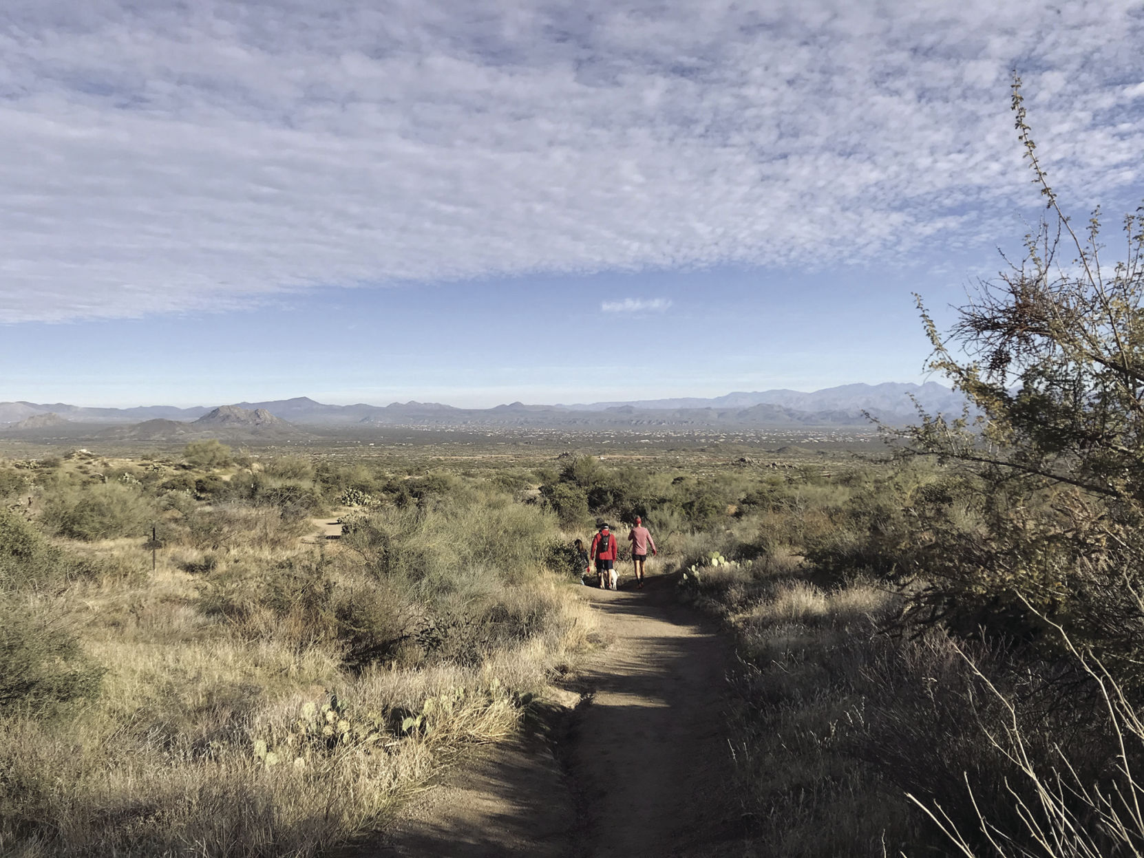 TRAVEL-UST-ARIZ-DESERT-4-SL